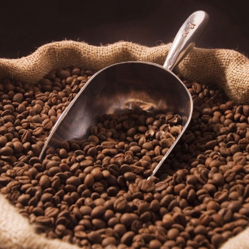 Giá cà phê 28/07: Brazil thu hoạch tăng mạnh, thị trường vẫn bất ổn